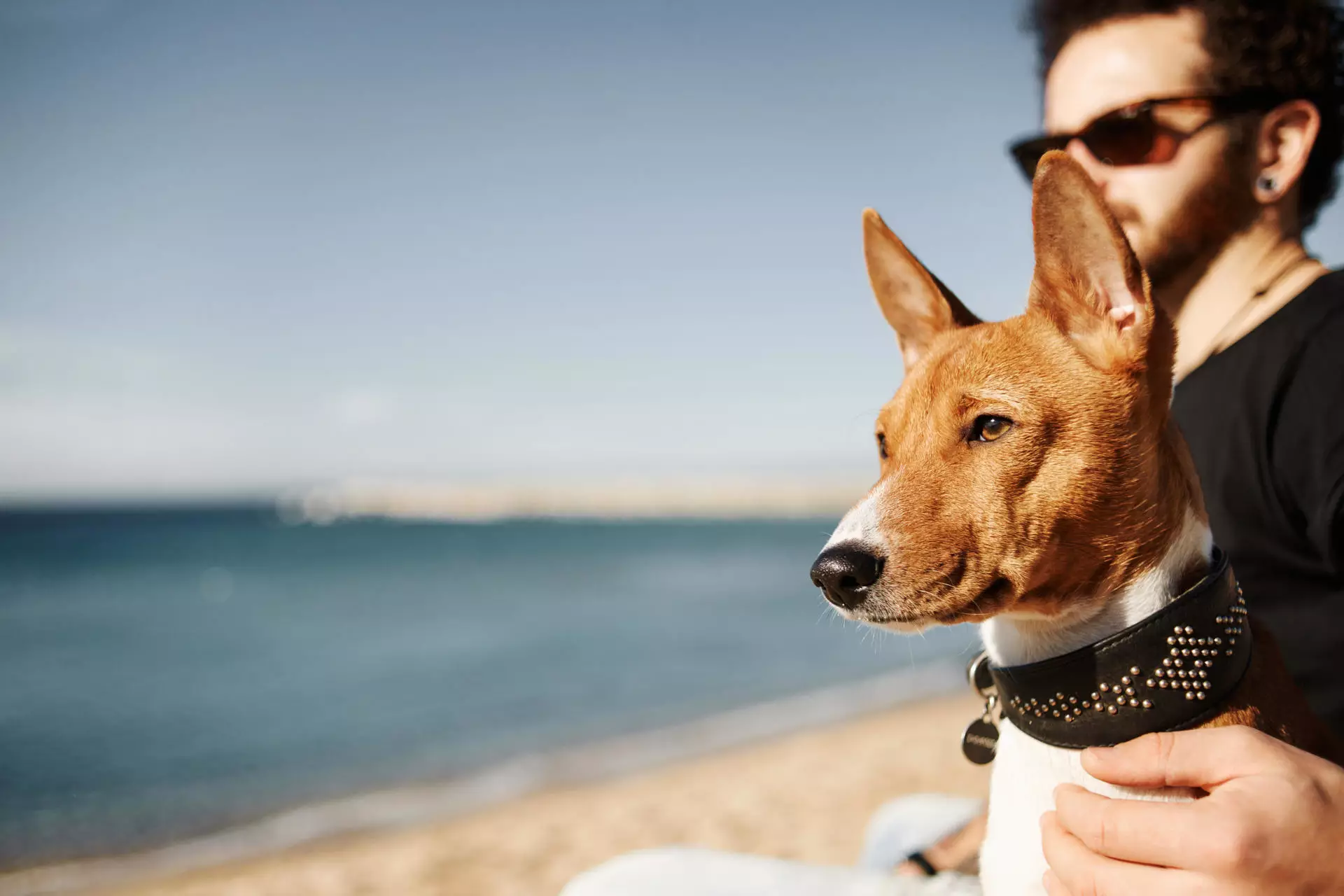 Foto de un perro y una mujer en la ciudad