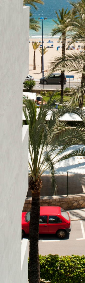 Hotel El Palmeral